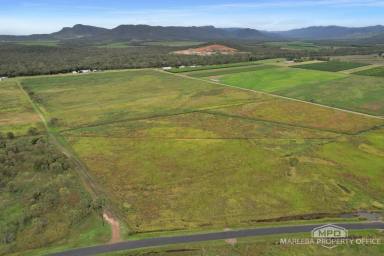 Lifestyle For Sale - QLD - Mutchilba - 4872 - LIFESTYLE PARADISE ON THE WALSH RIVER  (Image 2)