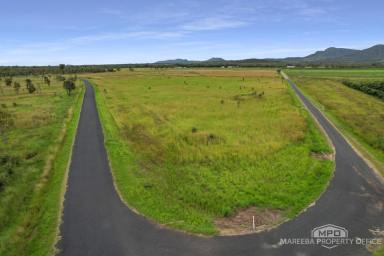 Lifestyle For Sale - QLD - Mutchilba - 4872 - LIFESTYLE PARADISE ON THE WALSH RIVER  (Image 2)