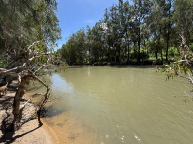Lifestyle For Sale - QLD - Mutchilba - 4872 - LIFESTYLE PARADISE ON THE WALSH RIVER  (Image 2)