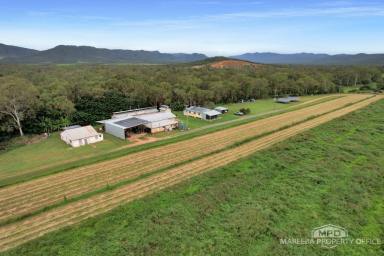 Lifestyle For Sale - QLD - Mutchilba - 4872 - LIFESTYLE PARADISE ON THE WALSH RIVER  (Image 2)
