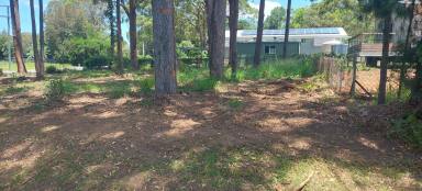 Residential Block For Sale - QLD - Macleay Island - 4184 - CORNER BLOCK IN GREAT CENTRAL LOCATION  (Image 2)
