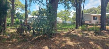 Residential Block For Sale - QLD - Macleay Island - 4184 - CORNER BLOCK IN GREAT CENTRAL LOCATION  (Image 2)