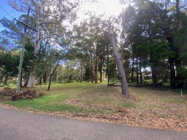 Residential Block For Sale - QLD - Macleay Island - 4184 - Large block  (Image 2)