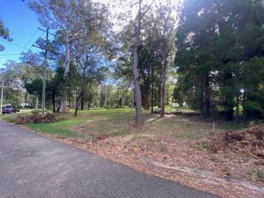 Residential Block For Sale - QLD - Macleay Island - 4184 - Large block  (Image 2)