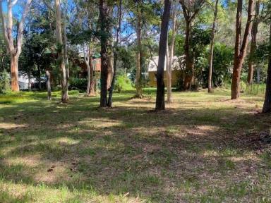 Residential Block For Sale - QLD - Macleay Island - 4184 - Semi Cleared block  (Image 2)