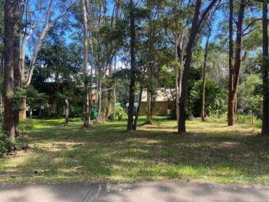 Residential Block For Sale - QLD - Macleay Island - 4184 - Semi Cleared block  (Image 2)