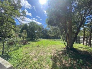 Residential Block For Sale - QLD - Macleay Island - 4184 - LARGE DOUBLE BLOCK  (Image 2)