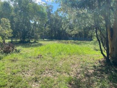 Residential Block For Sale - QLD - Macleay Island - 4184 - LARGE DOUBLE BLOCK  (Image 2)