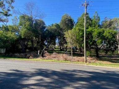 Residential Block For Sale - QLD - Macleay Island - 4184 - 2 blocks side by side  (Image 2)