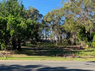 Residential Block For Sale - QLD - Macleay Island - 4184 - 2 blocks side by side  (Image 2)