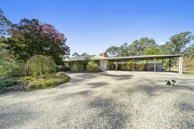 House For Sale - VIC - Seymour - 3660 - Renovated Home On 20 acres IN TOWN  (Image 2)