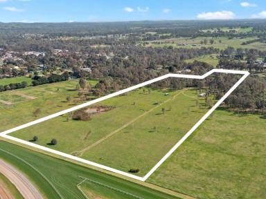 Acreage/Semi-rural For Sale - VIC - Seymour - 3660 - Renovated Home On 20 acres IN TOWN (Image 2)