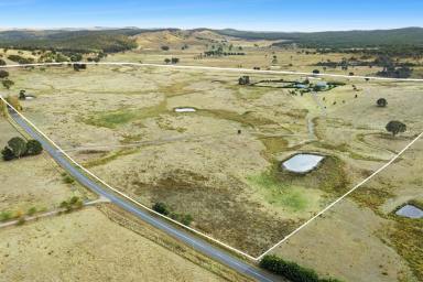 Other (Rural) For Sale - NSW - Binda - 2583 - "Exceptional Rural Lifestyle Offering"  (Image 2)