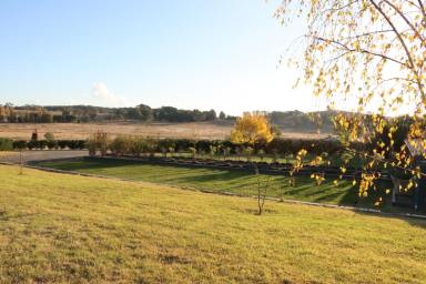 Other (Rural) For Sale - NSW - Binda - 2583 - "Exceptional Rural Lifestyle Offering"  (Image 2)