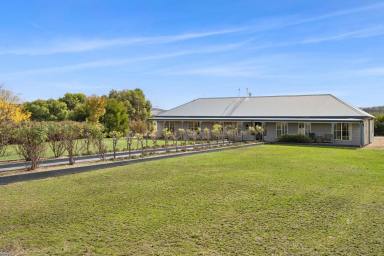 Other (Rural) For Sale - NSW - Binda - 2583 - "Exceptional Rural Lifestyle Offering"  (Image 2)