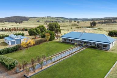 Lifestyle For Sale - NSW - Crooked Corner - 2583 - "Exceptional Rural Lifestyle Offering"  (Image 2)