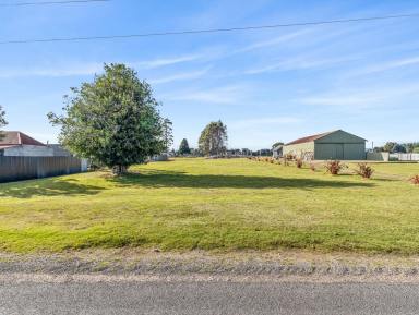 Residential Block For Sale - TAS - Waratah - 7321 - Secluded Sanctuary with potential!  (Image 2)