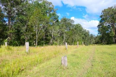 Lifestyle For Sale - NSW - Bean Creek - 2469 - THE GREAT ESCAPE  (Image 2)