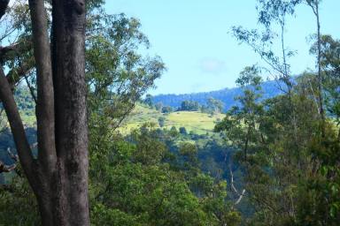 Lifestyle For Sale - NSW - Bean Creek - 2469 - GOLDEN NESTEGG (Image 2)