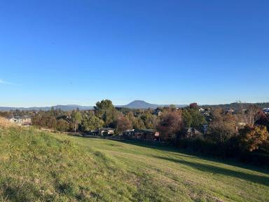 Residential Block For Sale - TAS - Deloraine - 7304 - Substantial Building Block!  (Image 2)