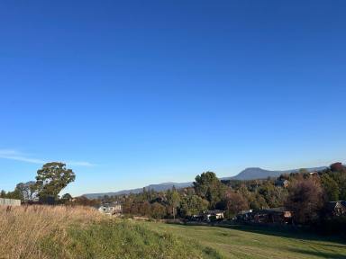 Residential Block For Sale - TAS - Deloraine - 7304 - Substantial Building Block!  (Image 2)