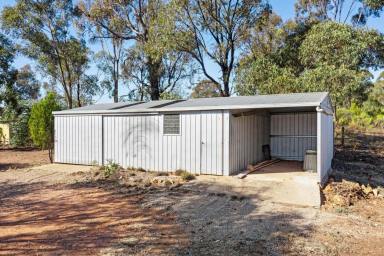 Residential Block For Sale - VIC - Maiden Gully - 3551 - Prime Allotment in the Heart of Maiden Gully  (Image 2)