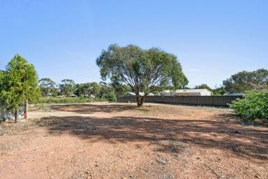 Residential Block For Sale - VIC - Maiden Gully - 3551 - Prime Allotment in the Heart of Maiden Gully  (Image 2)