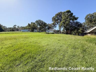 Residential Block For Sale - QLD - Lamb Island - 4184 - Tidy, Cleared 569m² Block Just 500m from the Lamb Island Ferry Terminal  (Image 2)