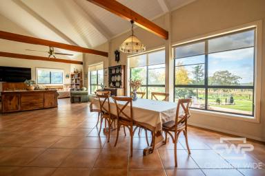 Mixed Farming For Sale - NSW - Torrington - 2371 - Welcome to "Fairview" - A Unique Rural Retreat with Endless Possibilities  (Image 2)