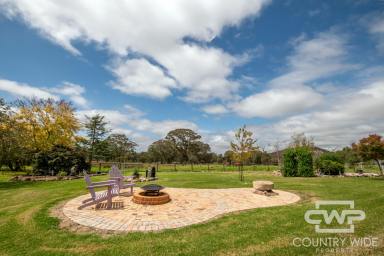 Mixed Farming For Sale - NSW - Torrington - 2371 - Welcome to "Fairview" - A Unique Rural Retreat with Endless Possibilities  (Image 2)