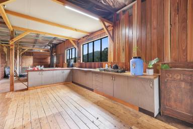 Lifestyle Auction - NSW - Manilla - 2346 - SECLUDED LIFESTYLE ON 311* ACRES  (Image 2)