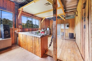 Lifestyle Auction - NSW - Manilla - 2346 - SECLUDED LIFESTYLE ON 311* ACRES  (Image 2)