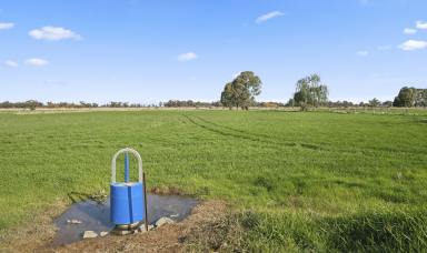 Dairy Auction - VIC - Kyabram - 3620 - Dairy farm with superb infrastructure  (Image 2)