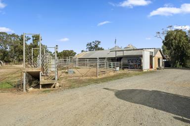 Dairy Auction - VIC - Kyabram - 3620 - Dairy farm with superb infrastructure  (Image 2)