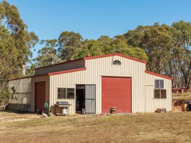Residential Block For Sale - NSW - Bombala - 2632 - TRANQUIL 47-ACRE LIFESTYLE PROPERTY WITH CABIN, SHED AND DAMS  (Image 2)