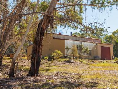Residential Block For Sale - NSW - Bombala - 2632 - TRANQUIL 47-ACRE LIFESTYLE PROPERTY WITH CABIN, SHED AND DAMS  (Image 2)