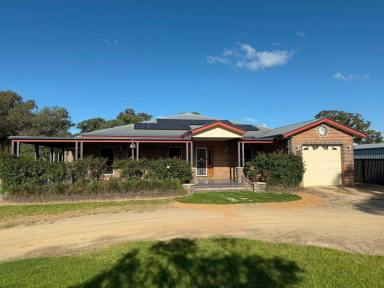 House For Sale - QLD - Stanthorpe - 4380 - Beautiful home prime location  (Image 2)