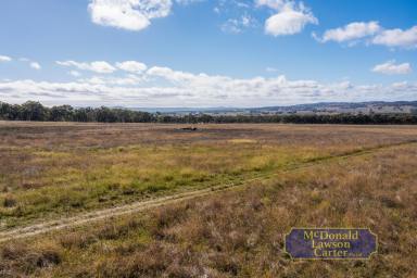 Mixed Farming For Sale - NSW - Mudgee - 2850 - "Alchera" – Productive Acreage with Equestrian Infrastructure & Privacy  (Image 2)