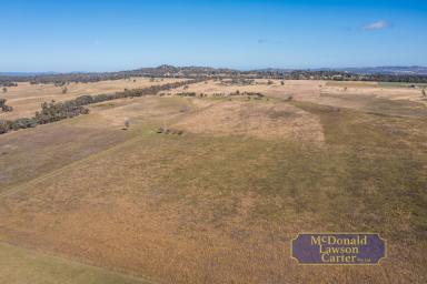Mixed Farming For Sale - NSW - Mudgee - 2850 - "Alchera" – Productive Acreage with Equestrian Infrastructure & Privacy  (Image 2)