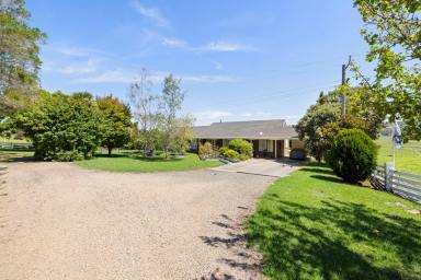 House For Sale - VIC - Sarsfield - 3875 - Enjoy the Privacy, Rural Vistas & Solid Build  (Image 2)