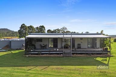House For Sale - QLD - Gundiah - 4650 - OFFGRID OASIS  (Image 2)