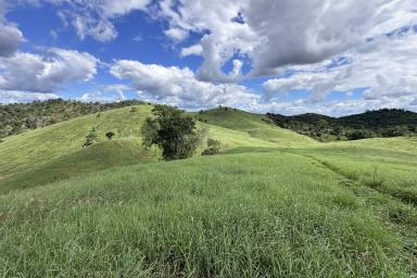 Other (Rural) Auction - QLD - Bracewell - 4695 - Central Qld Scrub Country Close to Gladstone Industries  (Image 2)
