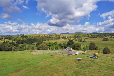 Other (Rural) Auction - QLD - Bracewell - 4695 - Central Qld Scrub Country Close to Gladstone Industries  (Image 2)