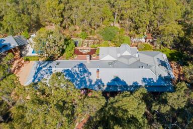 House For Sale - WA - Glen Forrest - 6071 - Secluded Bushland Beauty With Direct Access To Heritage Trail  (Image 2)