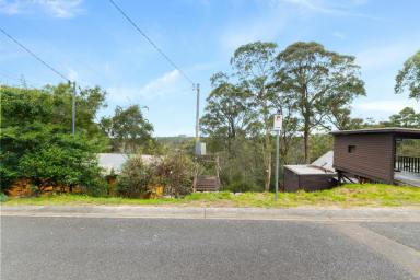 Residential Block For Sale - NSW - Blackheath - 2785 - 35 Rodriguez Avenue, Blackheath NSW 2785  (Image 2)