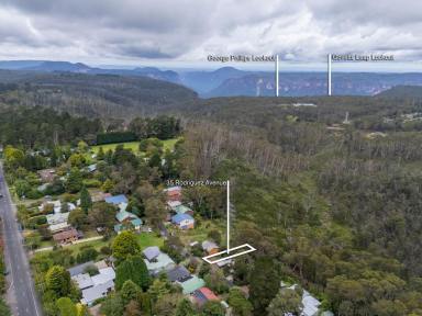 Residential Block For Sale - NSW - Blackheath - 2785 - 35 Rodriguez Avenue, Blackheath NSW 2785  (Image 2)