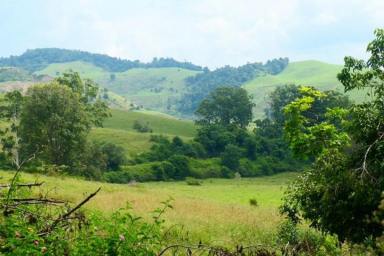 House For Sale - NSW - Mallanganee - 2469 - A LITTLE BIT COUNTRY  (Image 2)