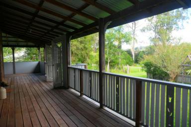 House For Sale - NSW - Mallanganee - 2469 - SUNSHINE AND SPACE  (Image 2)