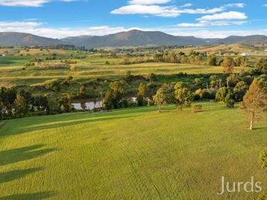 Lifestyle For Sale - NSW - East Branxton - 2335 - Riverfront Homestead on Doorstep of Wine Country  (Image 2)