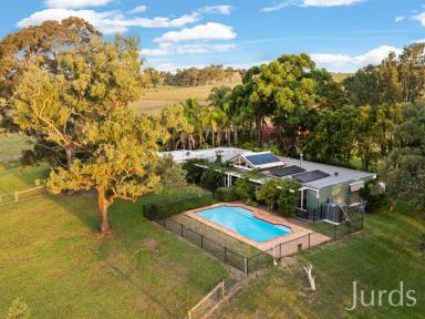 Lifestyle For Sale - NSW - East Branxton - 2335 - Riverfront Homestead on Doorstep of Wine Country  (Image 2)